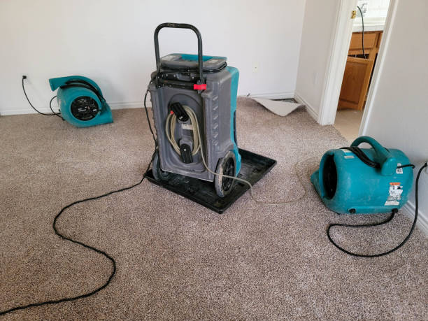 Water damage restoration experts in Pierre Part, LA