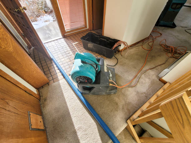 Best Commercial water damage restoration  in Pierre Part, LA