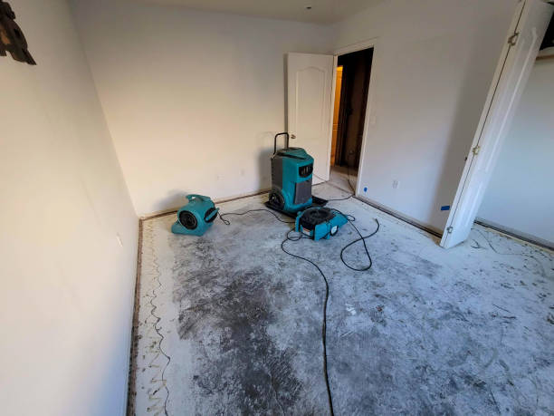 Best Local water damage restoration  in Pierre Part, LA