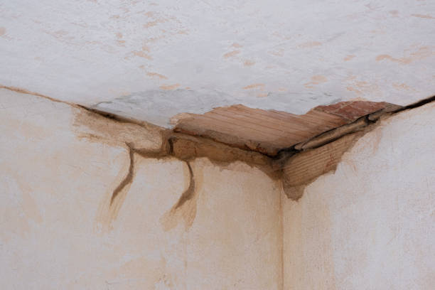 Best Water damage restoration near me  in Pierre Part, LA