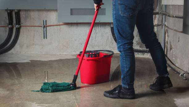 Best Residential water damage restoration  in Pierre Part, LA