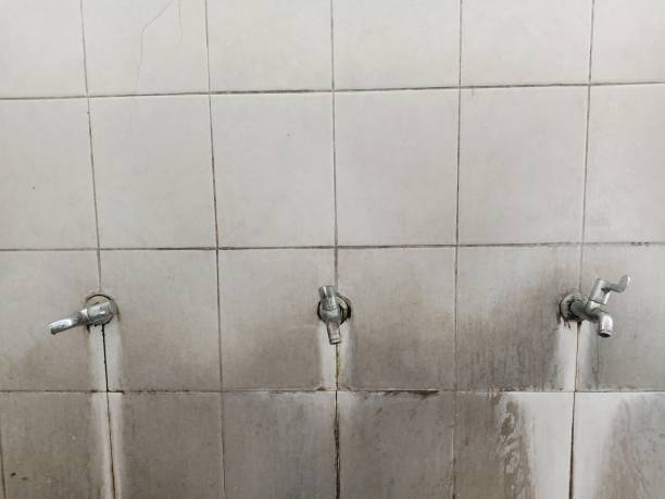 Best Fire Damage Restoration  in Pierre Part, LA