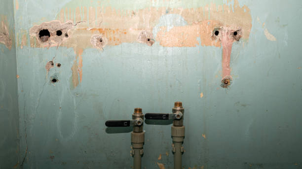  Pierre Part, LA Water damage restoration Pros