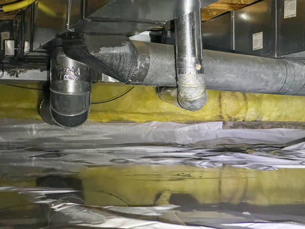 Best Water damage restoration experts  in Pierre Part, LA