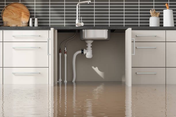 Best 24-hour water damage restoration  in Pierre Part, LA
