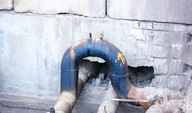 Best Basement water damage restoration  in Pierre Part, LA