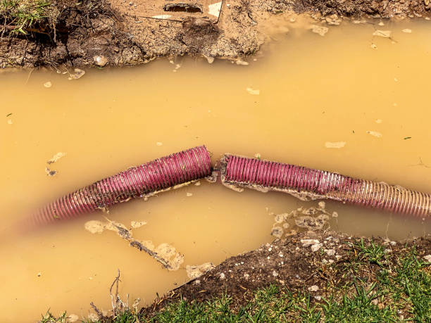 Best Emergency water damage restoration  in Pierre Part, LA