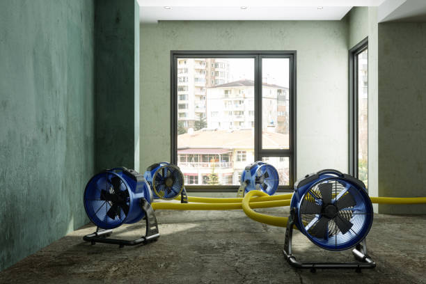 Best Water damage restoration near me  in Pierre Part, LA