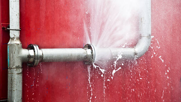 Best Flood restoration services  in Pierre Part, LA